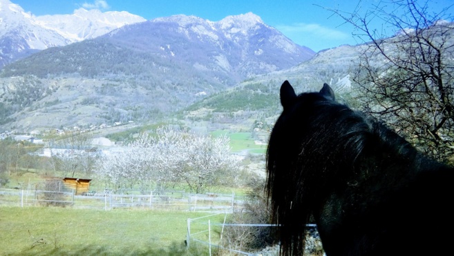 La Petite Ferme des Regains propose de nombreuses nouveautés pour cet été ! La Petite Ferme des Regains propose de nombreuses nouveautés pour cet été !