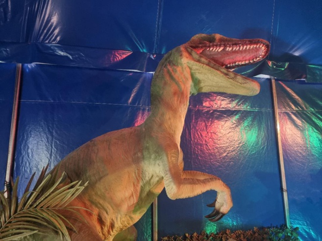 Sur la terre des dinosaures Sur la terre des dinosaures