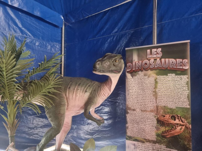 Sur la terre des dinosaures Sur la terre des dinosaures