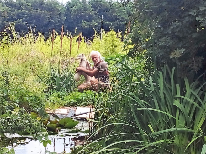 "La Fée d'Arlane", un lieu dédié à la permaculture 3/5 "La Fée d'Arlane", un lieu dédié à la permaculture 3/5