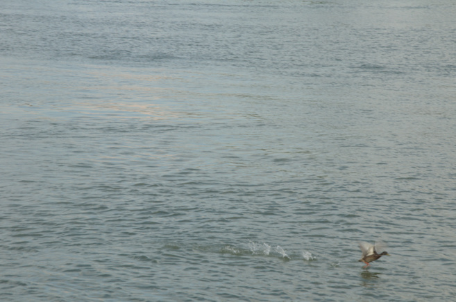 Pêcheurs et paysans ; l'eau en partage Pêcheurs et paysans ; l'eau en partage