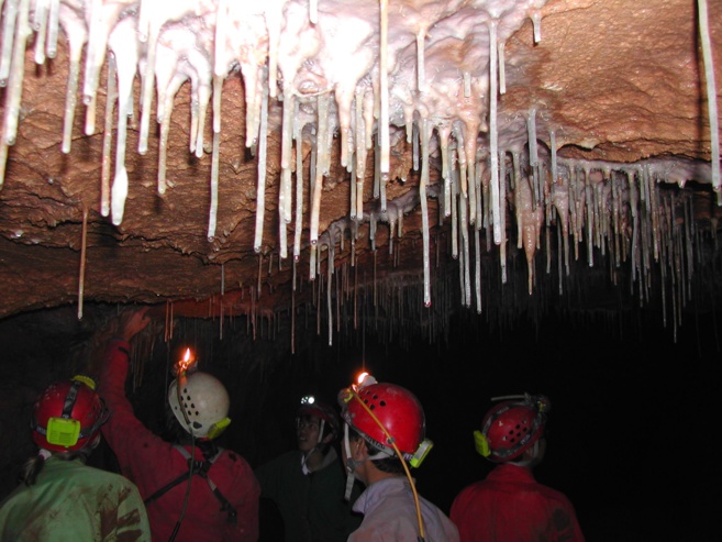 Var, le pays de Fayence propose la semaine de la nature Var, le pays de Fayence propose la semaine de la nature
