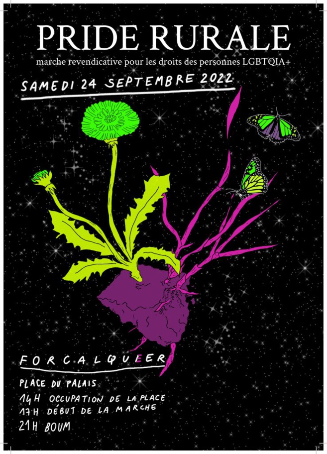 La première "Pride Rurale" à Forcalquier La première "Pride Rurale" à Forcalquier