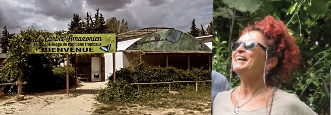 Bienvenue au Carbet Amazonien de Velleron ! Bienvenue au Carbet Amazonien de Velleron !