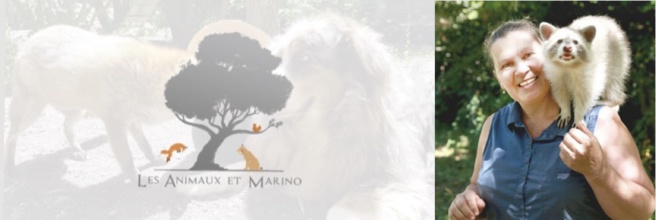 Chez les Animaux et Marino : un lieu magique et engagé à St Andiol