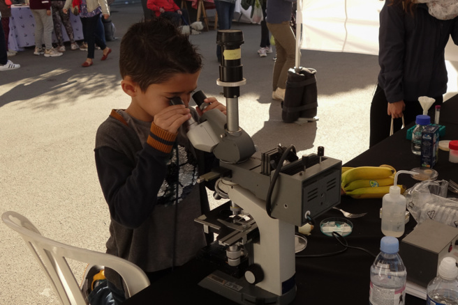 Le "Village des Sciences" à la MCJ de Manosque Le "Village des Sciences" à la MCJ de Manosque