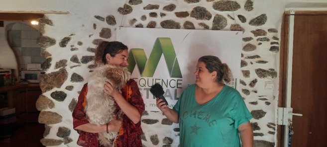 la communication animale : Une pratique de plus en plus populaire ! la communication animale : Une pratique de plus en plus populaire !