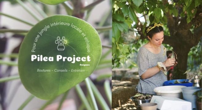 Pilea Project, pour une jungle intérieur locale et éthique Pilea Project, pour une jungle intérieur locale et éthique