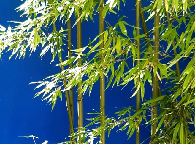 Tiens ? ça sonne... #3 Tiens ? ça sonne... #3