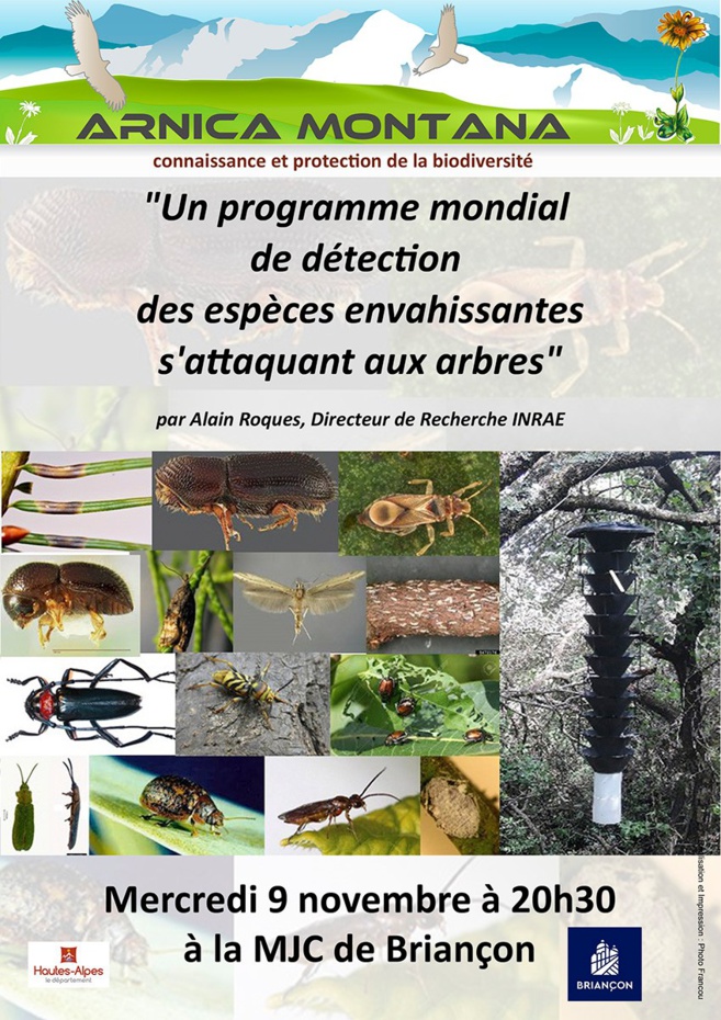 Une conférence sur le programme mondial de détection des espèces envahissantes s’attaquant aux arbres Une conférence sur le programme mondial de détection des espèces envahissantes s’attaquant aux arbres