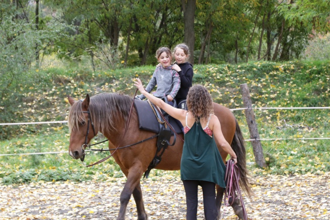 A la découverte d'equitoile: une école d'art équestre A la découverte d'equitoile: une école d'art équestre