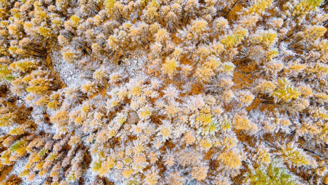 Que nous réserve notre avenir ? Que nous réserve notre avenir ?