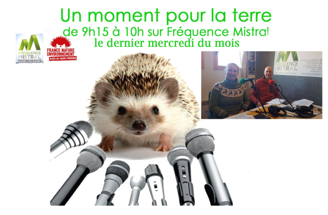 Liza Cugnez et Kelilia Ait Aoudia Liza Cugnez et Kelilia Ait Aoudia