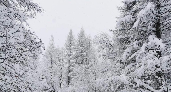 La saison 2022/2023 est lancée à Névache ! La saison 2022/2023 est lancée à Névache !