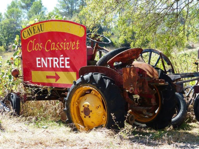 Des vendanges un peu singulières dans les vignes du clos Cassivet à Trans en Provence Des vendanges un peu singulières dans les vignes du clos Cassivet à Trans en Provence