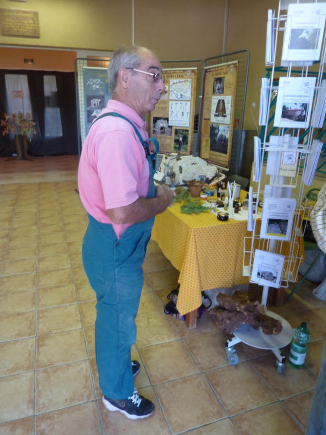 Fête du bois de la Martre 2014 Fête du bois de la Martre 2014