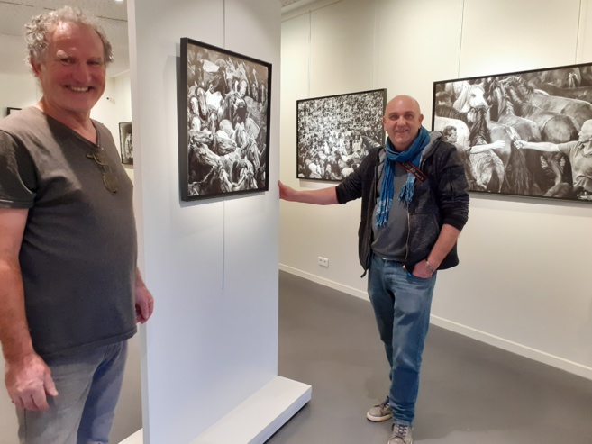 Chevaux dans le feu de l’arène Chevaux dans le feu de l’arène
