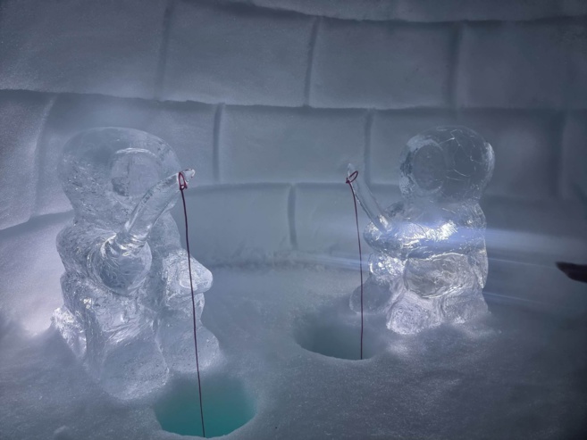 Aventures Polaires à l'igloo pelvoo pour la 10 ème édition ! Aventures Polaires à l'igloo pelvoo pour la 10 ème édition !