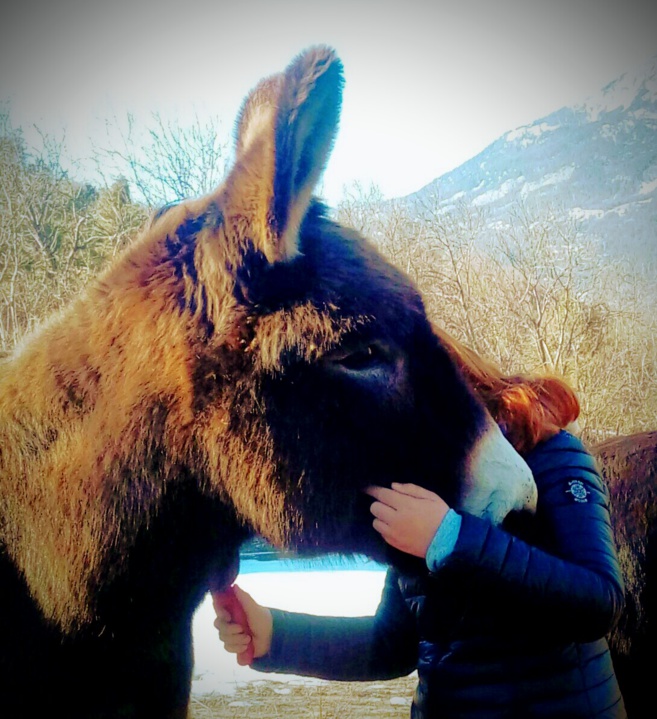 Nouvelle expérience à la petite ferme des regains Nouvelle expérience à la petite ferme des regains