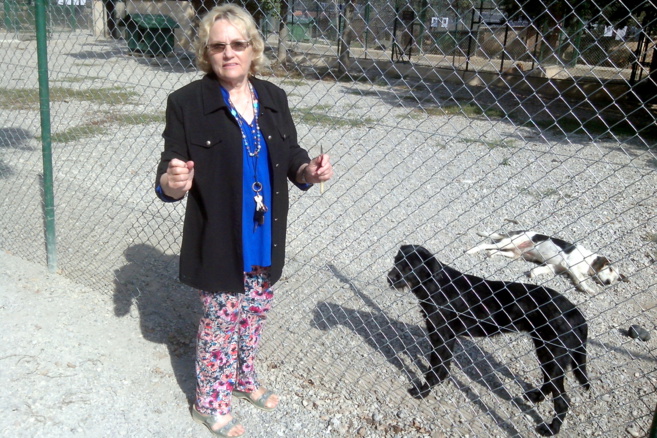 Le refuge SPA de Sisteron a ouvert ses portes lors de la Fête des animaux ! Le refuge SPA de Sisteron a ouvert ses portes lors de la Fête des animaux !