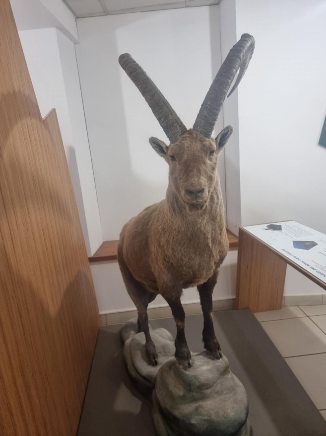 Plusieurs missions pour le parc national des écrins Plusieurs missions pour le parc national des écrins