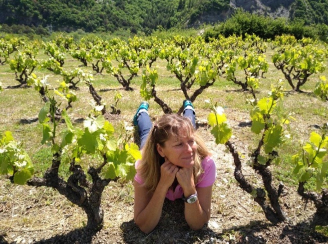 Chroniques oenologiques Chroniques oenologiques