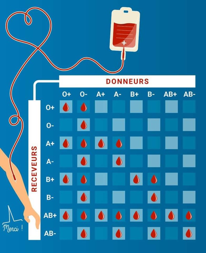 Les dons de sang sont essentiels, l'Amicale lance un appel Les dons de sang sont essentiels, l'Amicale lance un appel
