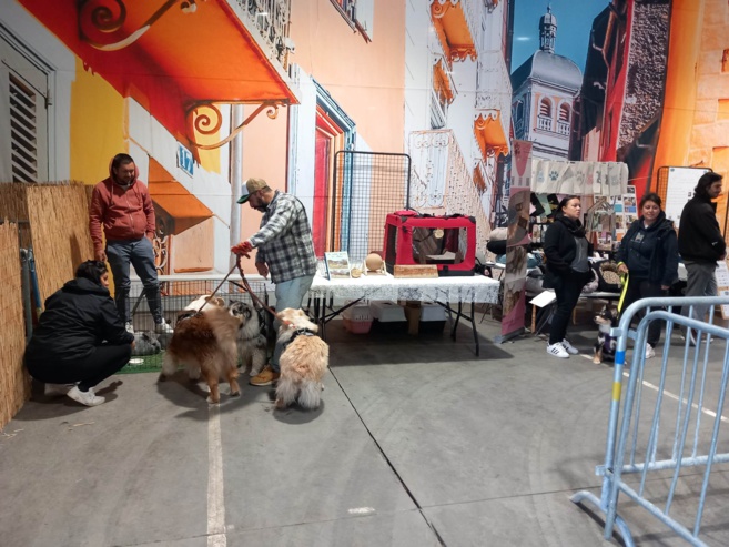 une première édition réussie pour le salon du bien être animal une première édition réussie pour le salon du bien être animal