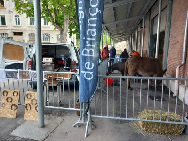 une première édition réussie pour le salon du bien être animal une première édition réussie pour le salon du bien être animal