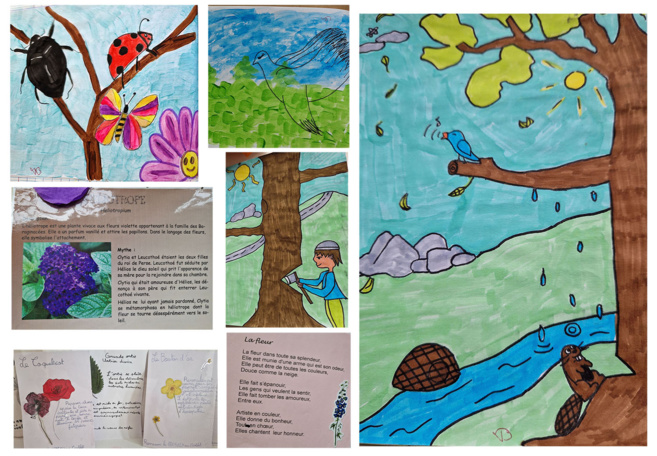 Les collègiens du Gassendi fêtent la semaine nationale de la nature. Les collègiens du Gassendi fêtent la semaine nationale de la nature.