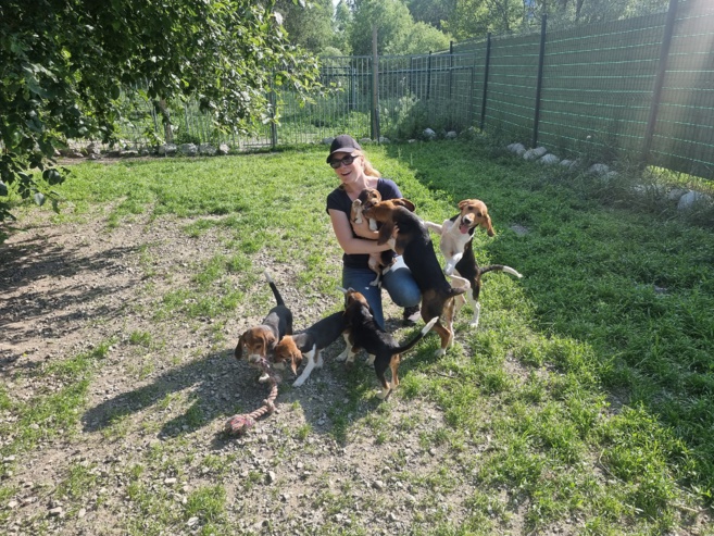 Un peu de compagnie supplémentaire chez vous ? Un peu de compagnie supplémentaire chez vous ?