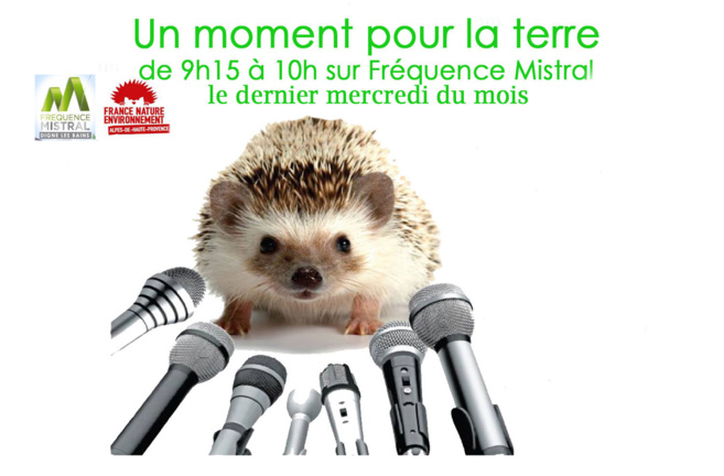 Un moment pour la terre avec France Nature Environnement 