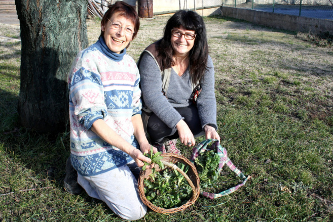 L’association Mille et une feuilles 04 propose de partir à la découverte des plantes sauvages ! L’association Mille et une feuilles 04 propose de partir à la découverte des plantes sauvages !