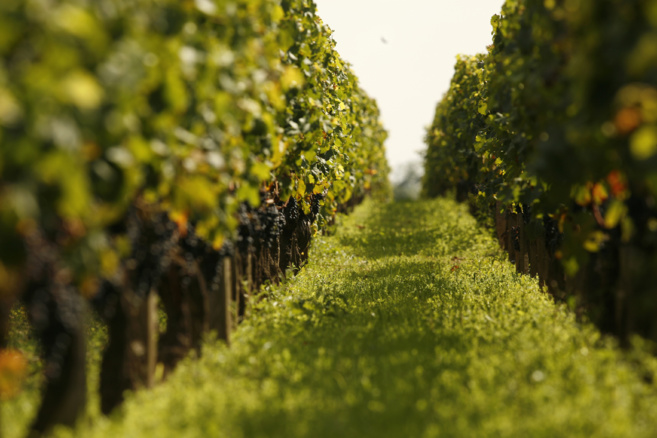 Une conférence citoyenne bucolique ce samedi à Gap… Une conférence citoyenne bucolique ce samedi à Gap…