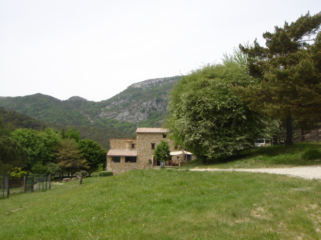 Bientôt 40 ans d'existence pour la Bergerie de Faucon Bientôt 40 ans d'existence pour la Bergerie de Faucon