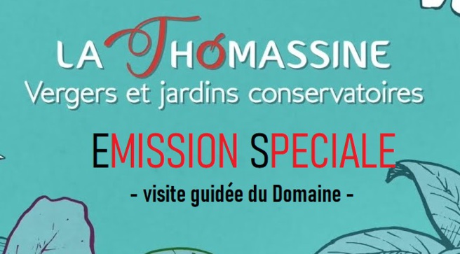 Emission spéciale- Visite guidée du Domaine de la Thomassine - Découvrez le verger jardin conservatoire de Manosque