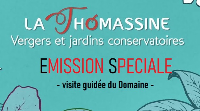 Emission spéciale- Visite guidée du Domaine de la Thomassine - Découvrez le verger jardin conservatoire de Manosque Emission spéciale- Visite guidée du Domaine de la Thomassine - Découvrez le verger jardin conservatoire de Manosque
