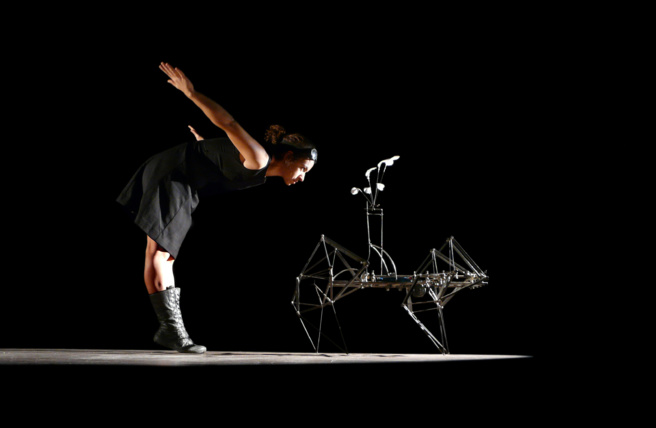 Voler est un acte de résistance, alors Magalie Rousseau brasse de l'air... Voler est un acte de résistance, alors Magalie Rousseau brasse de l'air...