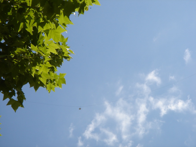 La remontée de l’étoile souffle ses 20 bougies en fanfare ce week-end à Moustiers La remontée de l’étoile souffle ses 20 bougies en fanfare ce week-end à Moustiers