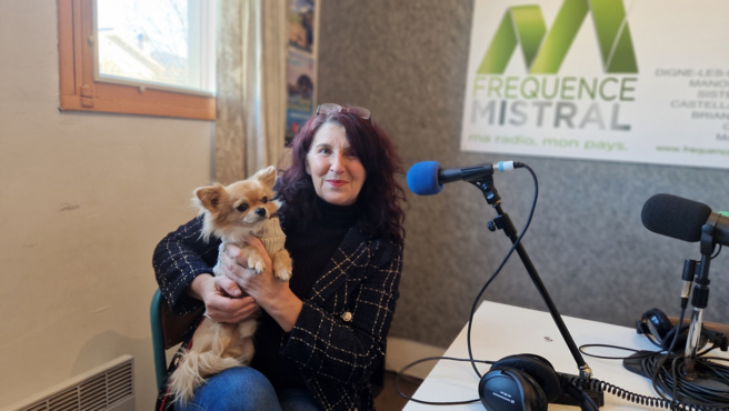 Plumes en vadrouille n°2 en ligne dès le 15 mars 2024 ! Plumes en vadrouille n°2 en ligne dès le 15 mars 2024 !