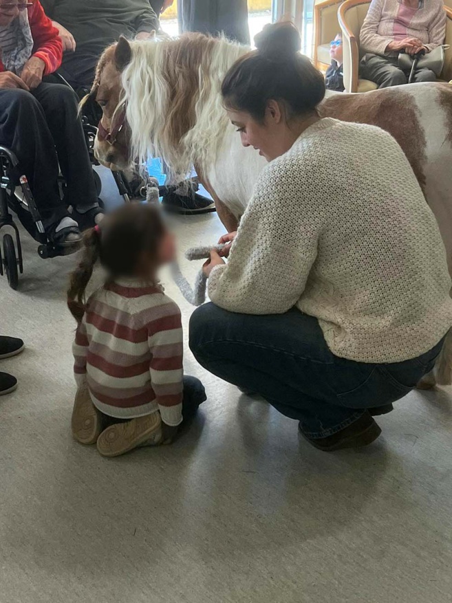 Un cheval miniature à la maison de retraite "les lavandines" pour une journée riche d'émotion ! Un cheval miniature à la maison de retraite "les lavandines" pour une journée riche d'émotion !