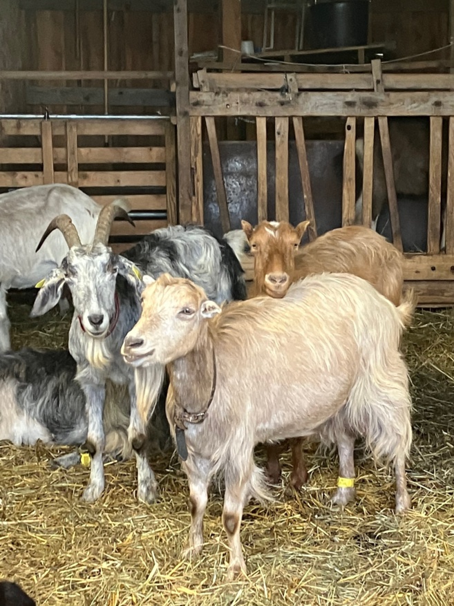 De ferme en ferme - La ferme sous les Mourres De ferme en ferme - La ferme sous les Mourres