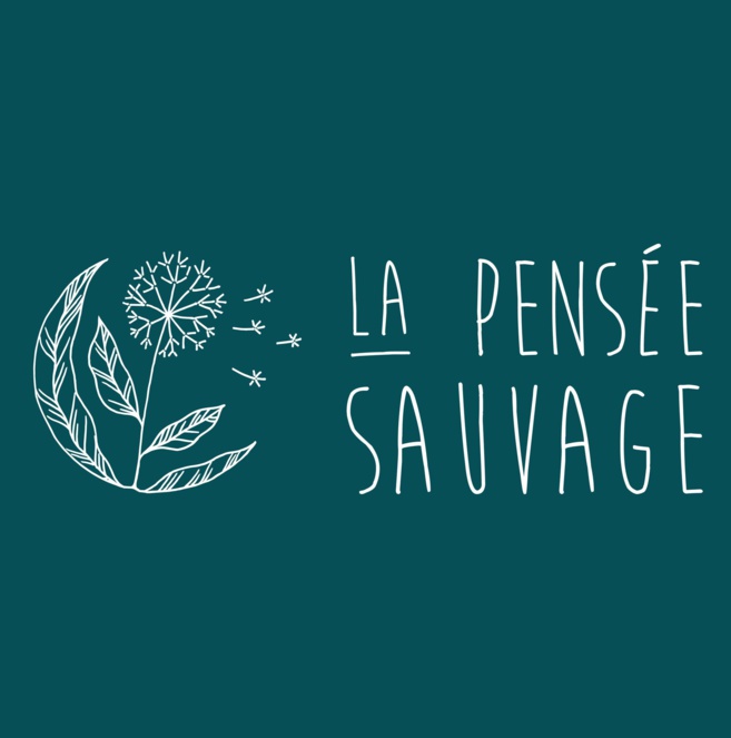 Les plantes comme outil de transmission avec La Pensée sauvage Les plantes comme outil de transmission avec La Pensée sauvage