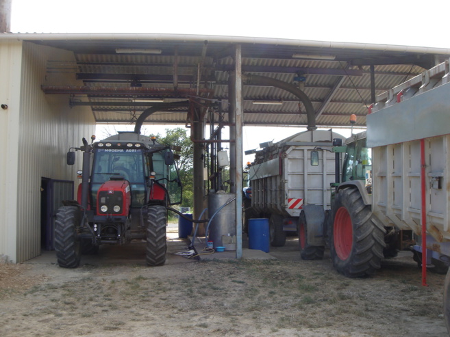 La culture du lavandin en danger : Cicadelle et industrie chimique, les grandes menaces La culture du lavandin en danger : Cicadelle et industrie chimique, les grandes menaces