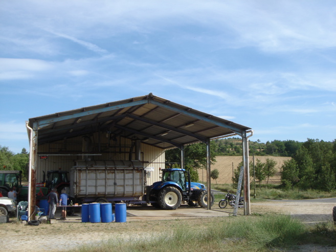 La culture du lavandin en danger : Cicadelle et industrie chimique, les grandes menaces La culture du lavandin en danger : Cicadelle et industrie chimique, les grandes menaces
