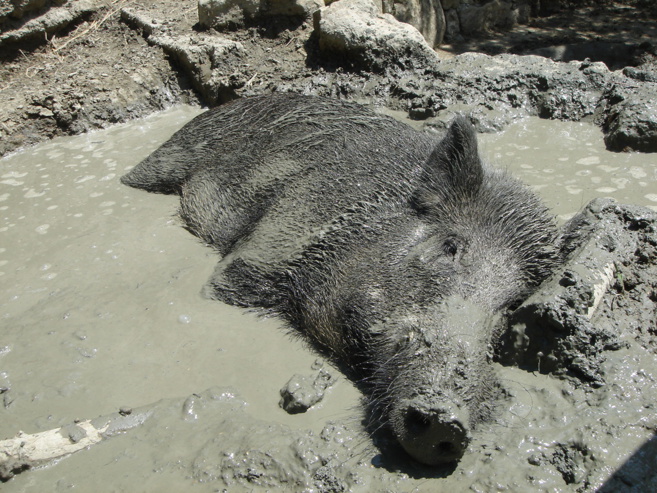 La Bergerie de Faucon dans le Verdon, un lieu privilégié où des jeunes en difficulté retrouvent leur chemin La Bergerie de Faucon dans le Verdon, un lieu privilégié où des jeunes en difficulté retrouvent leur chemin