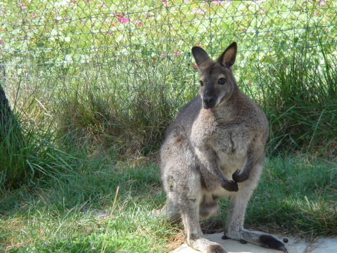 Rencontre avec le Père Guy Gilbert à la ferme de Faucon dans les Gorges du Verdon Rencontre avec le Père Guy Gilbert à la ferme de Faucon dans les Gorges du Verdon