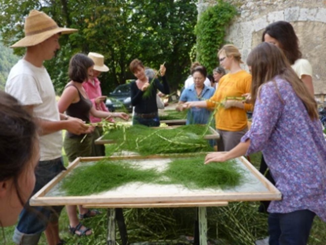 Christian Escriva : de l’esprit de la plante ! Christian Escriva : de l’esprit de la plante !