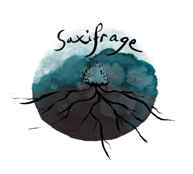 Les petites capsules littéraires, coups de coeur de la collective Saxifrage Les petites capsules littéraires, coups de coeur de la collective Saxifrage