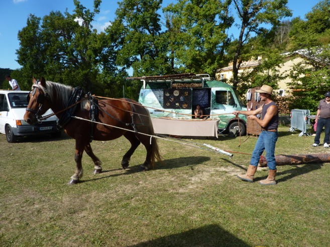 Le bois : une richesse à préserver et exploiter. La Fête du bois a lieu ce week-end à la Martre Le bois : une richesse à préserver et exploiter. La Fête du bois a lieu ce week-end à la Martre